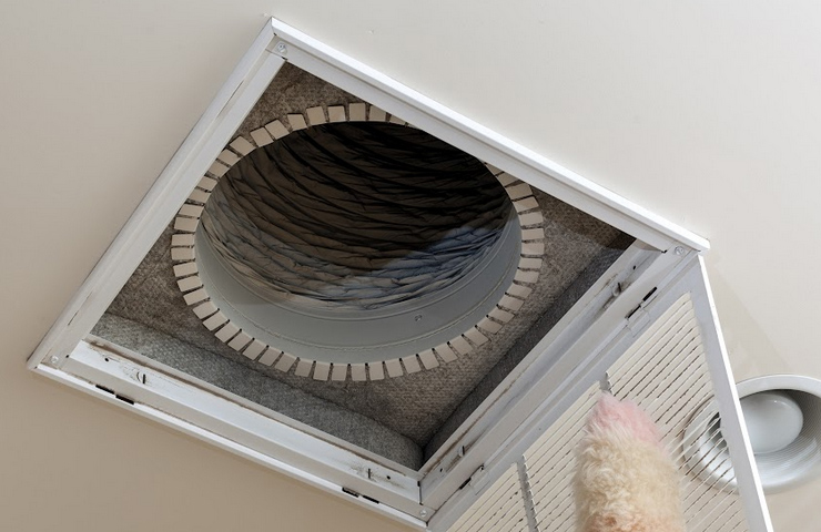 5 ways dirty air ducts impact your health